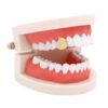 Grillz hiphop guld tandsmycke bling guldtand a$ap