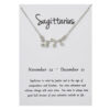 Stjärntecken Halsband Skytten Sagittarius Gåvohalsband Silver