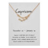 Stjärntecken Halsband Stenbocken Capricorn Gåvohalsband Guld