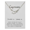 Stjärntecken Halsband Stenbocken Capricorn Gåvohalsband Silver