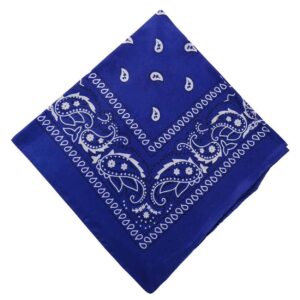 Bandana Scarf Sjal Snusnäsduk Paisleymönster Mörk Blå