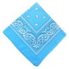 Bandana Scarf Sjal Snusnäsduk Paisleymönster Ljus Blå