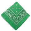 Bandana Scarf Sjal Snusnäsduk Paisleymönster Grön