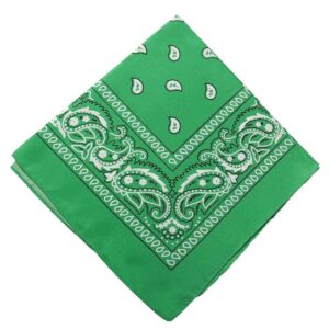 Bandana Scarf Sjal Snusnäsduk Paisleymönster Grön