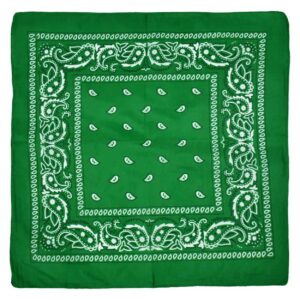 Bandana Scarf Sjal Snusnäsduk Paisleymönster Rosa