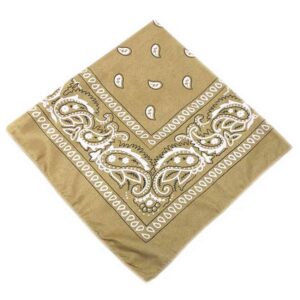 Bandana Scarf Sjal Snusnäsduk Paisleymönster Beige