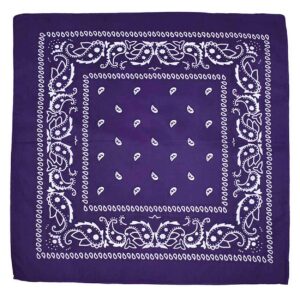 Bandana Scarf Sjal Snusnäsduk Paisleymönster Rosa