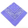 Bandana Scarf Sjal Snusnäsduk Paisleymönster Ljus Lila