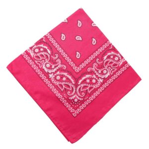 Bandana Scarf Sjal Snusnäsduk Paisleymönster Rosa