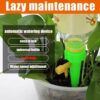 3-pack automatisk bevattning blomvattnare