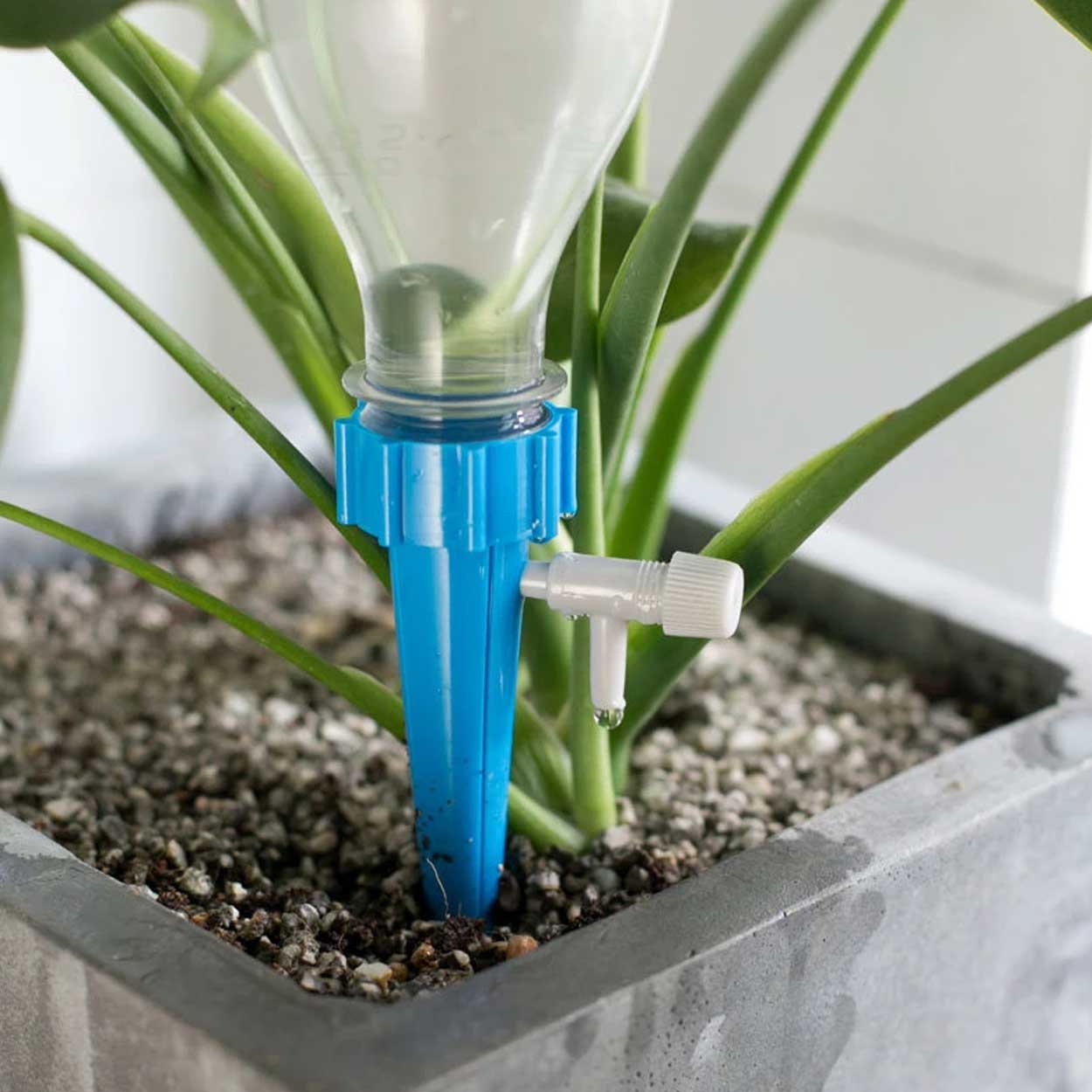 3-pack automatisk bevattning blomvattnare