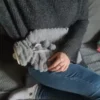 2l värmeflaska med fluffigt fodral | stor varmvattenflaska med plyschöverdrag
