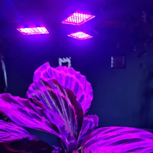 E27 växtbelysning 108 led - bild 2