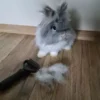 Dubbelverkande tovutredare och borste för hund, katt och husdjur
