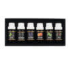 6-pack eteriska oljor | eukalyptus, apelsin, tea tree, mynta, lavendel och tall 10ml