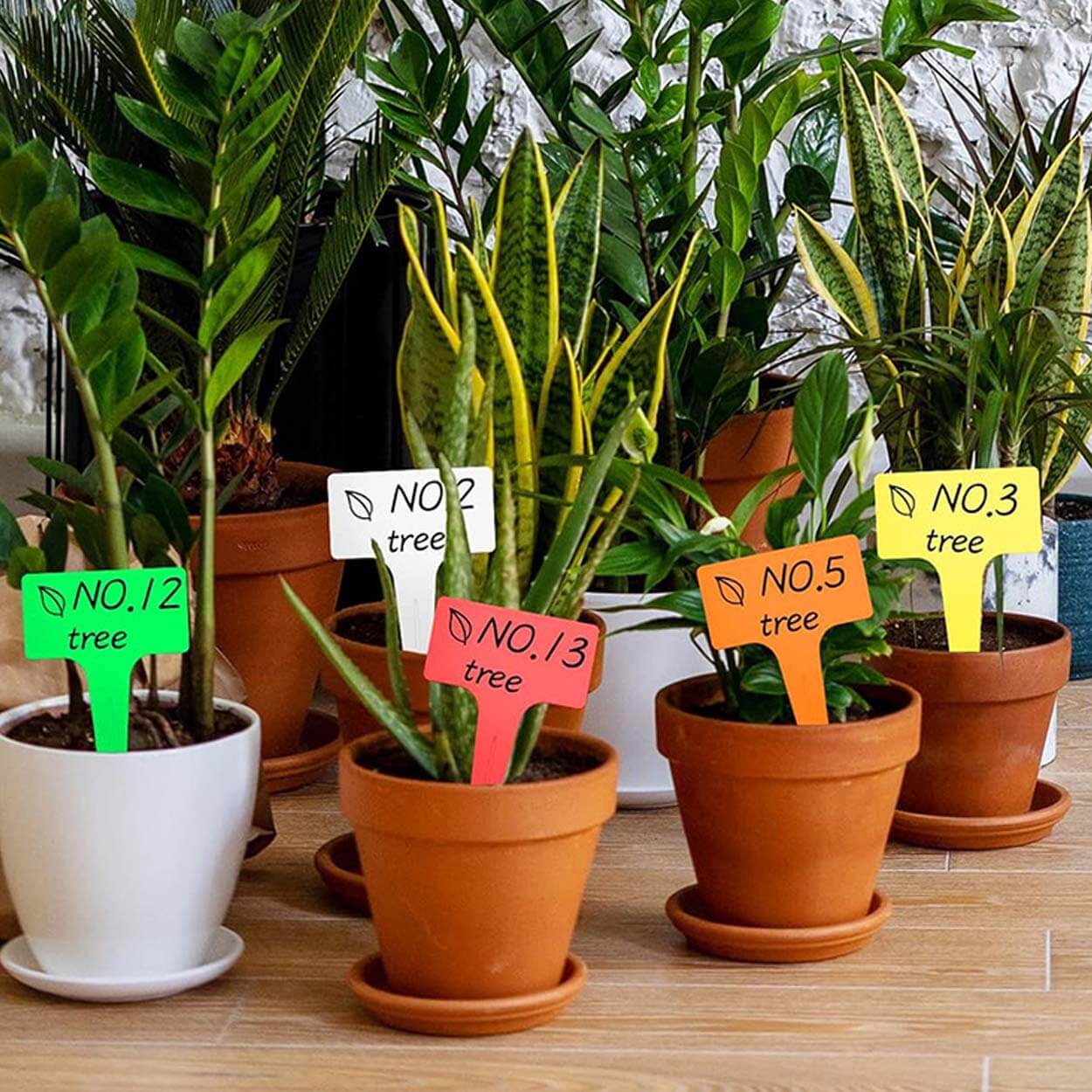 50st växtetiketter | plantskyltar för märkning av växter - bild 2