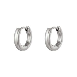 Creoler hoops örhängen i rostfritt stål silver small
