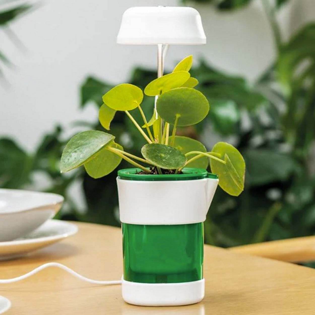 Led växtlampa med självvattnande kruka – fullspektrum växtbelysning - bild 2