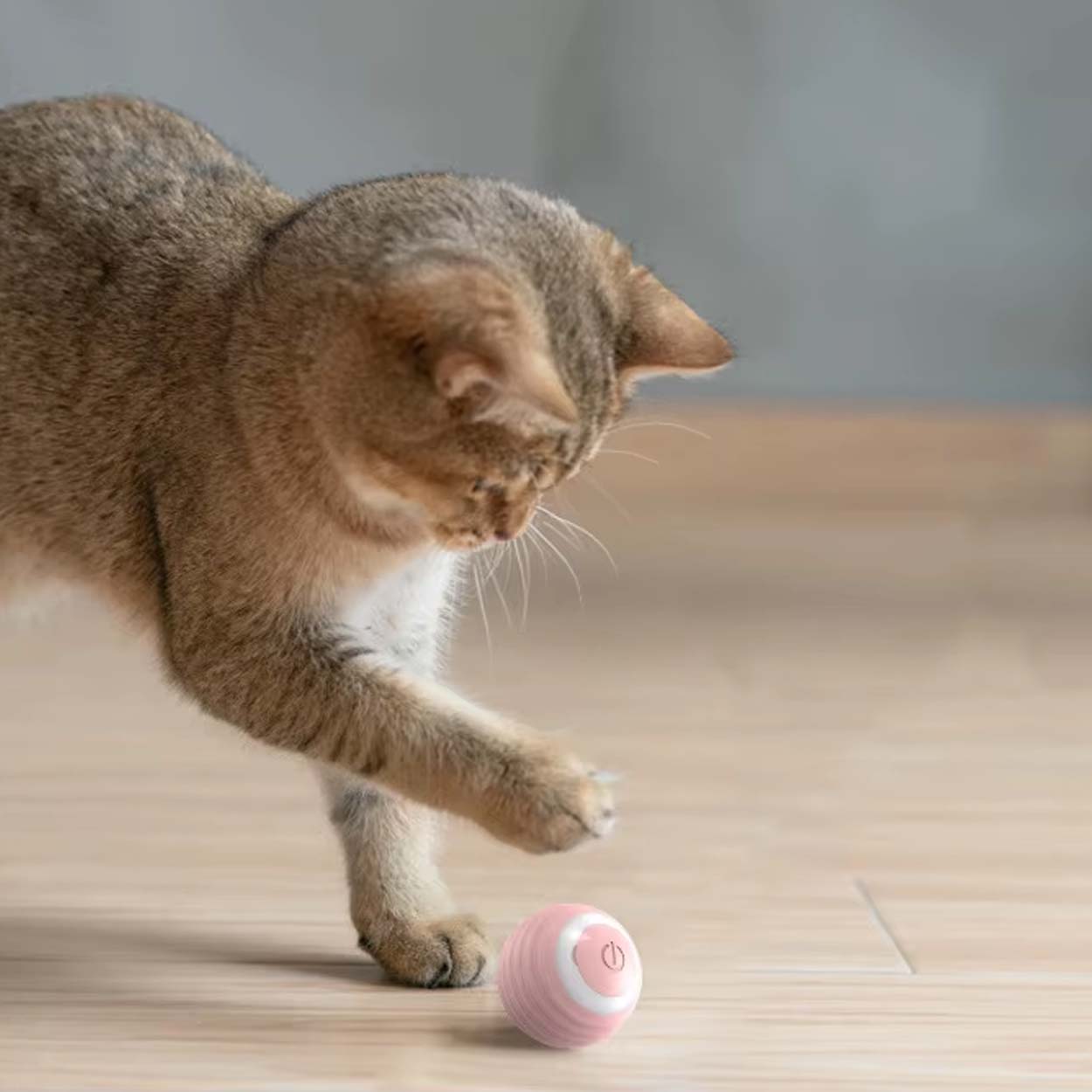 Smart automatisk rullende ball | interaktivt hunde- og kattelektøy - bilde 5