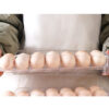 Stablebar egge-dispenser for kjøleskap | eggeboks for 14 egg gjennomsiktig