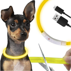 Uppladdningsbart Hundhalsband med LED Belysning