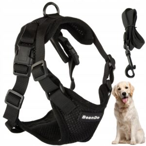 Mjukt och Tryckfritt Hundsele med Reflexdetaljer XL Svart