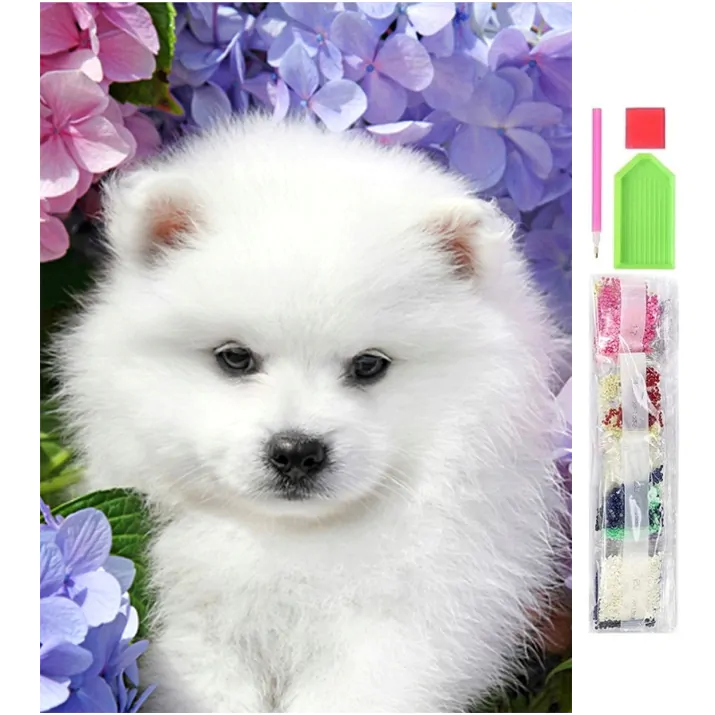 Diamantmålning 5d 30x40 cm – hund spets/spitz – komplett diamond painting kit