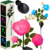 Solcellslampa Rosor LED – 3 Blommor – Trädgårdsbelysning med Solpanel